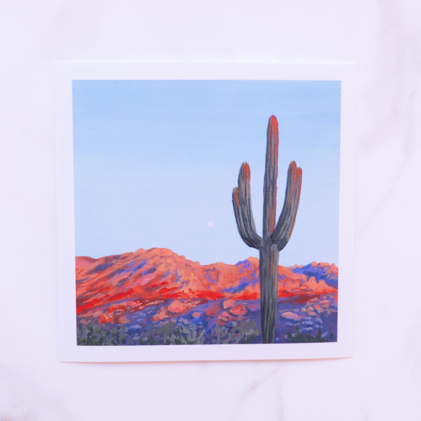 Catalina State Park Saguaro Sunset