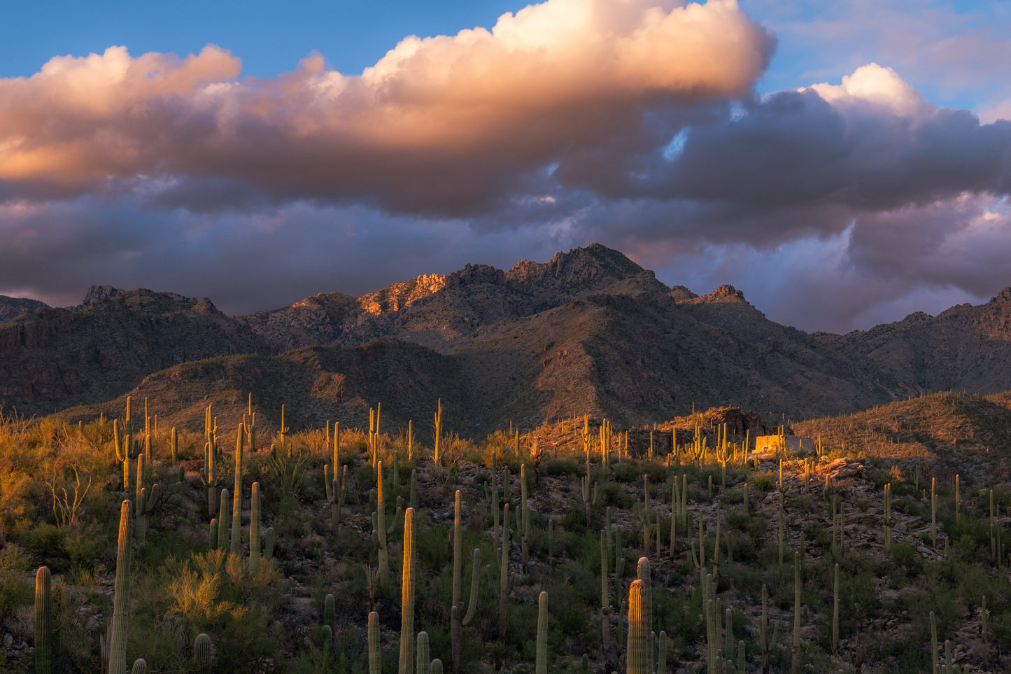 Sunset in Sabino Canyon