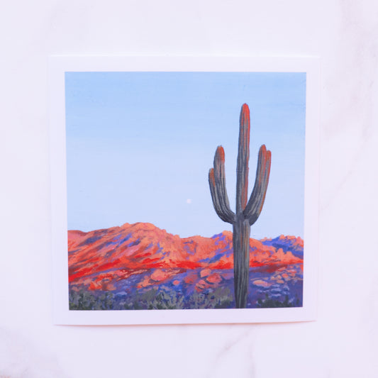 Catalina State Park Saguaro Sunset