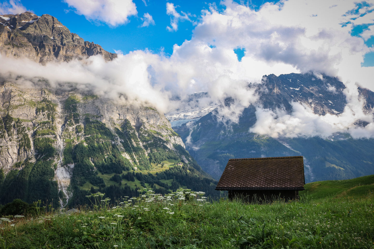 Grindelwald Switzerland