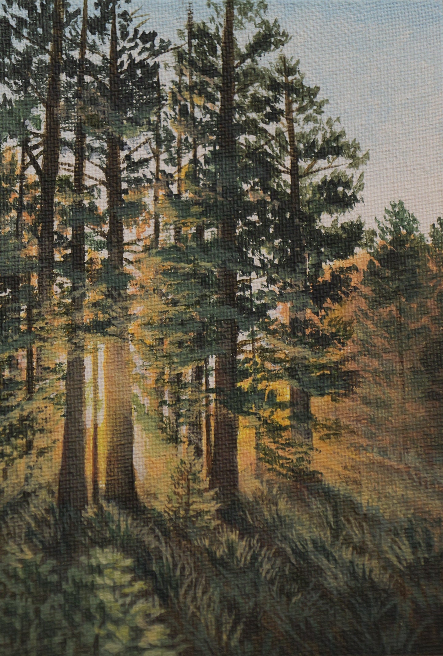 Forrest Ray