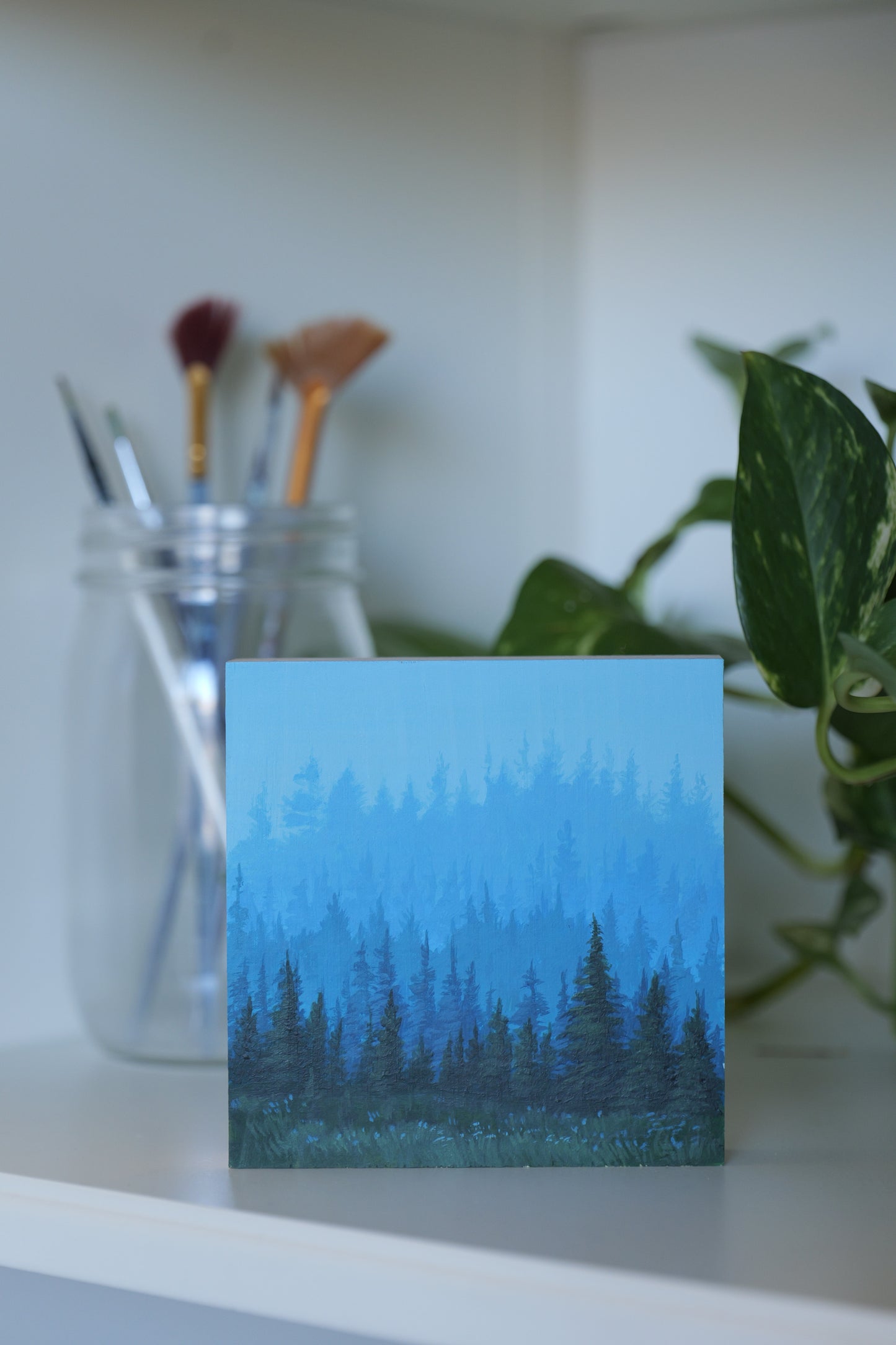 Day 25 Foggy Forrest