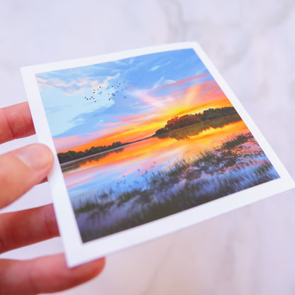 Everglades Mini Print 4" x 4"
