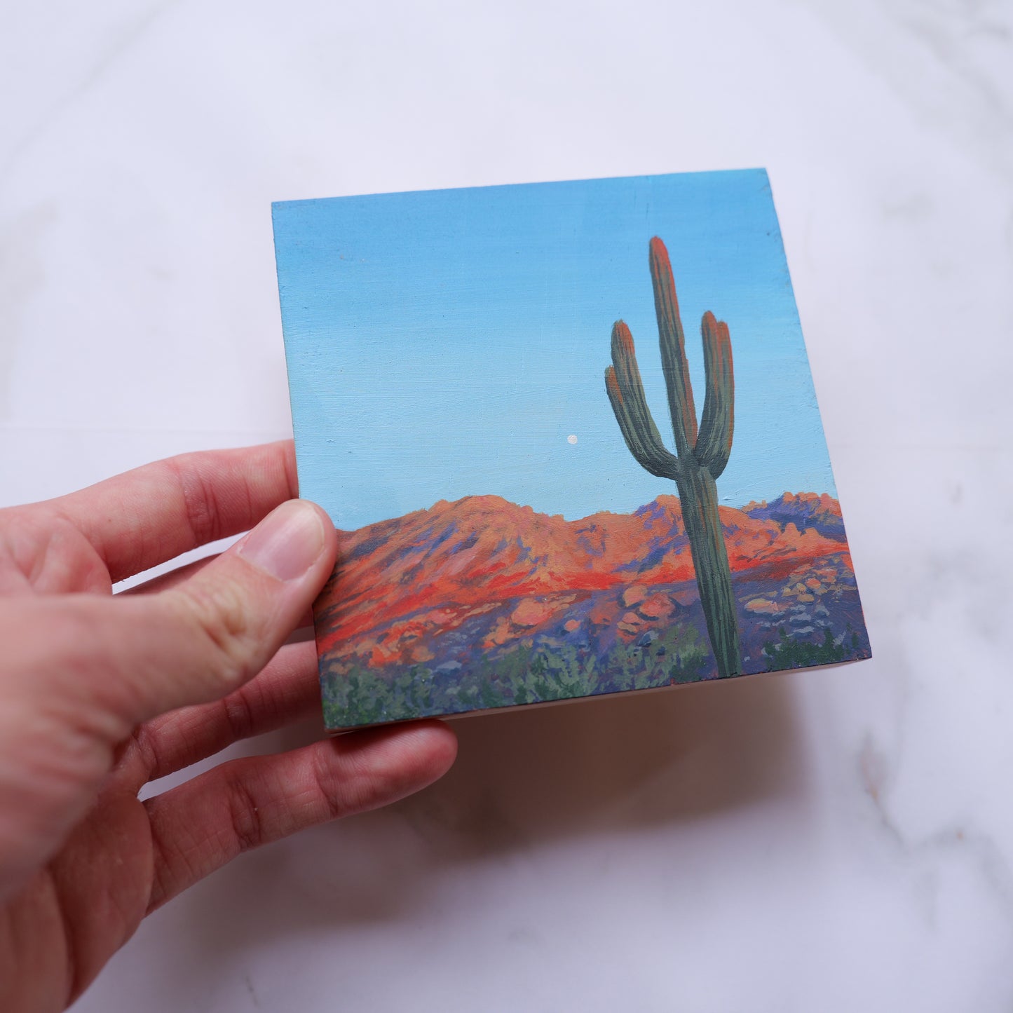 Catalina Saguaro Mini 4" x 4"