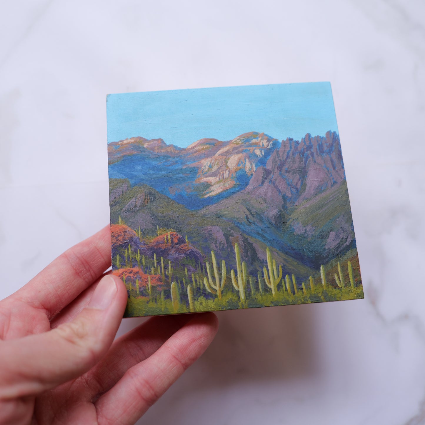 Sabino Canyon Mini 4" x 4"