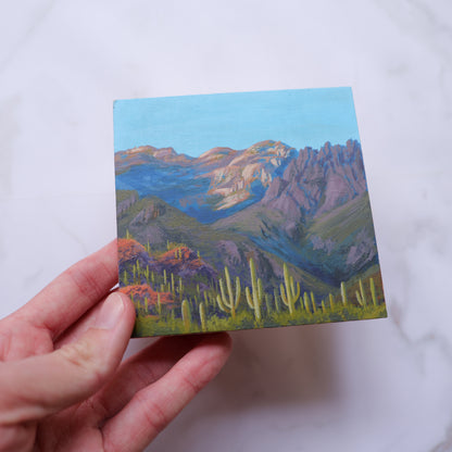 Sabino Canyon Mini 4" x 4"