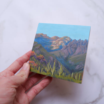 Sabino Canyon Mini 4" x 4"
