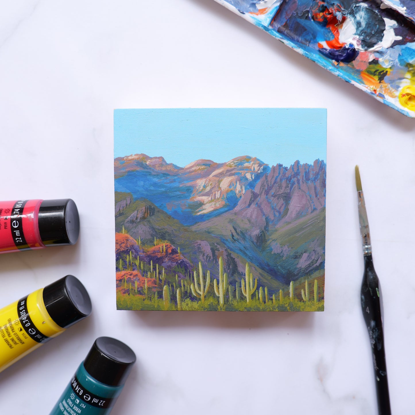 Sabino Canyon Mini 4" x 4"