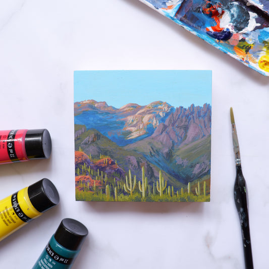 Sabino Canyon Mini 4" x 4"