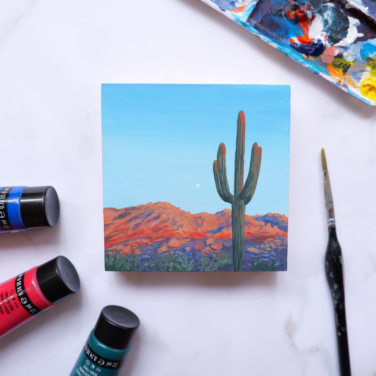 Catalina Saguaro Mini 4" x 4"