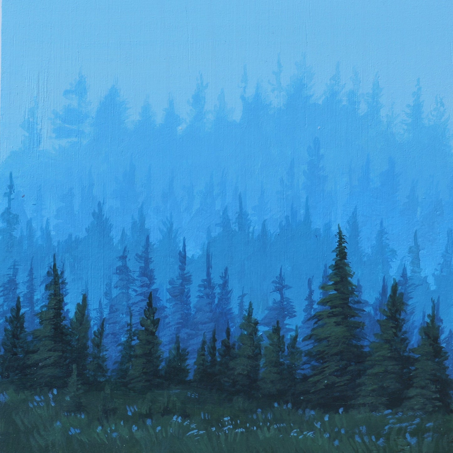 Day 25 Foggy Forrest