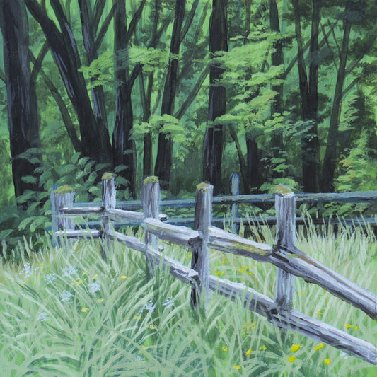 Day 27 Mossy Fence