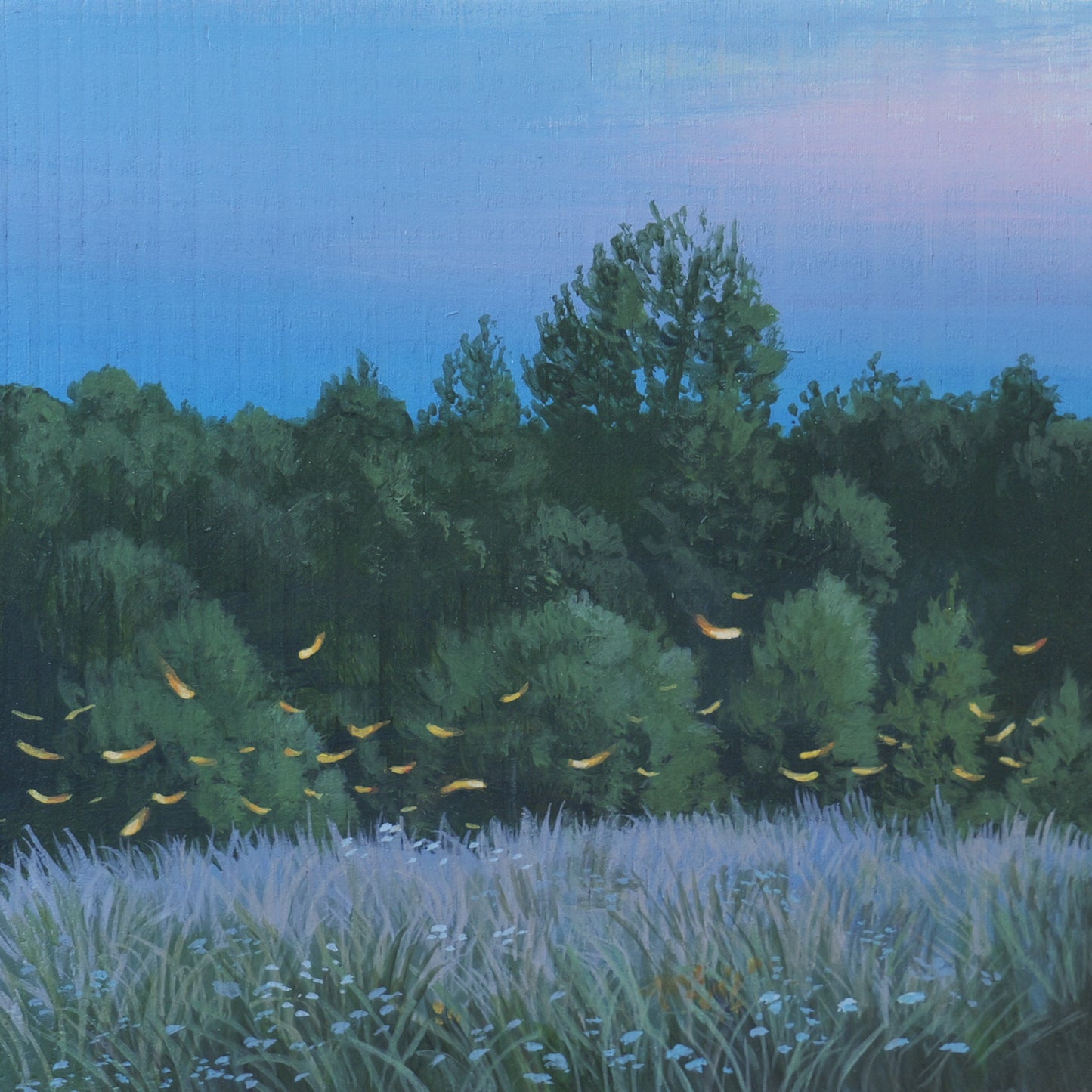 Day 9 Fireflys