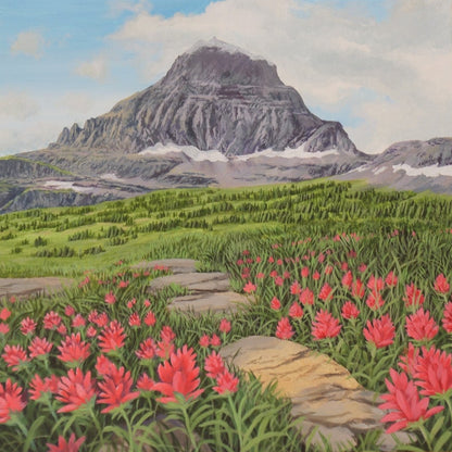 Indian Paintbrush on the Logan Pass Trail 8" x 8"