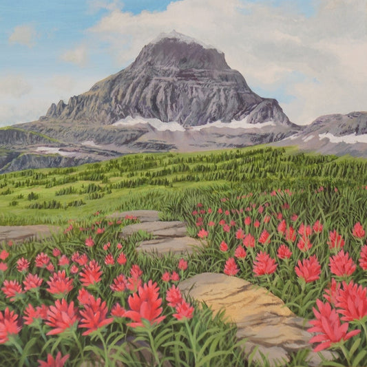 Indian Paintbrush on the Logan Pass Trail 8" x 8"